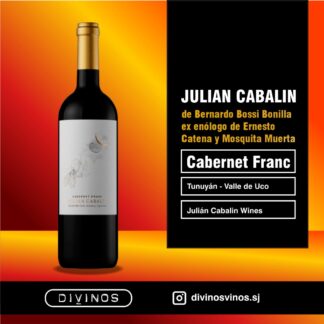 Julián Cabalin Cabernet Franc